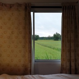 เปิดม่านมาเจอทุ่งหญ้าเขียวขจี สวยมากกก