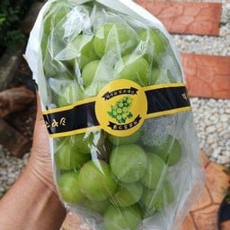สวนตู้แดง ผลไม้ สดๆใหม่ๆ ดิลิเวอร์รี่