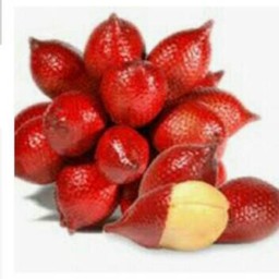 MENU_427775Gi_1568120855