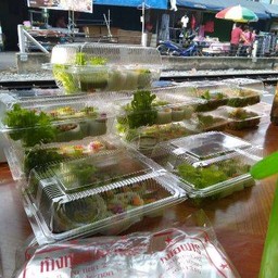 ก๋วยเตี๋ยวลุยสวน