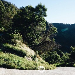 บรรยากาศทางขึ้น