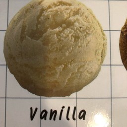 วนิลา (Vanilla)