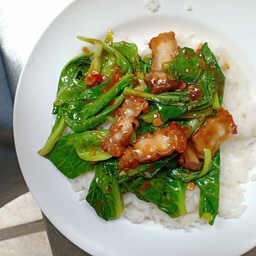 ข้าวผัดคะน้าหมูกรอบ