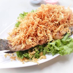 ปลากระพงแดดเดียว