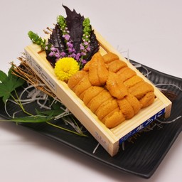 Uni Sashimi