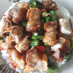 กะเพราหมูกรอบ