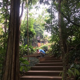 Doi Tung Tree Top Walk