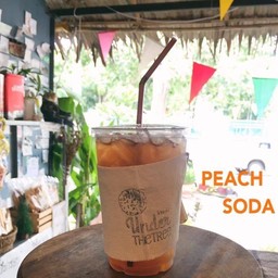 พีชโซดา