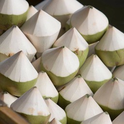 ร้านบ้ามมะพร้าว คุณจอห์น