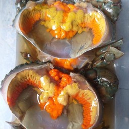 T&K ปูเลไข่ดองนึ่ง ออนไลน์