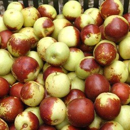 FreshGreek นวมินทร์42