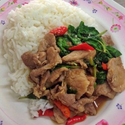 ข้าวกระเพราหมูชิ้น