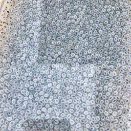 เม็ดแมงลัก