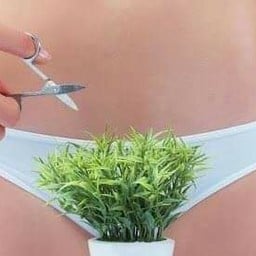 Bunika Wax