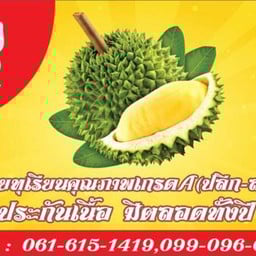 ทุเรียนแมว