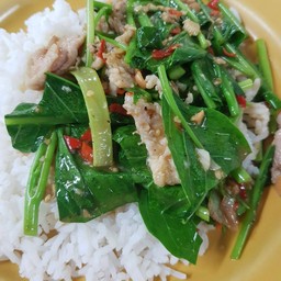 ผัดผักคะน้า (กับข้าว)