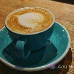 MOCHA