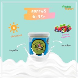 absolute yoghurt co -