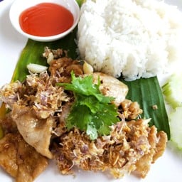 ข้าวราดหมูกระเทียมพริกไทย