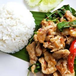 ข้าวราดกะเพราหมูชิ้น
