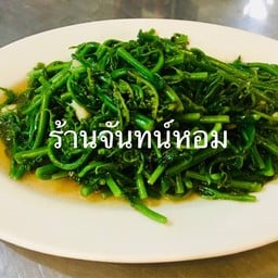 ผักกูดผัดน้ำมันหอย