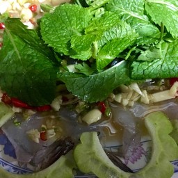 กุ้งแช่น้ำปลา