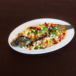 ปลาซ่อนลุยสวนสมุนไพร