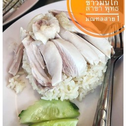 ข้าวมันไก่เนื้อน่อง และสะโพก