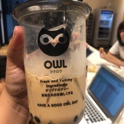 Owl Cha พัฒนาการ 20