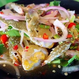 คนรักหอย
