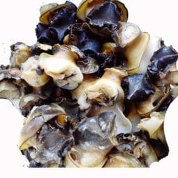 หอยเชอรี่