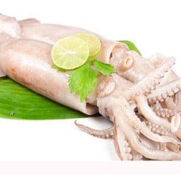 ปลาหมึก