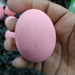 ไข่เยี่ยวม้า