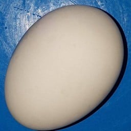 ไข่เค็ม