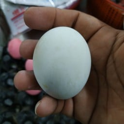 ไข่เค็ม