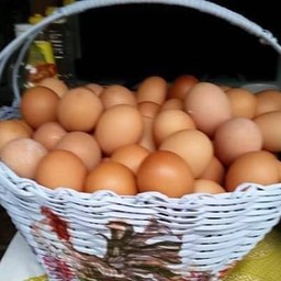 จานเดียว เจียวทุกอย่าง