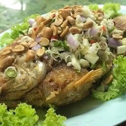 ปลาลุยสวน