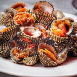 หอยแครง