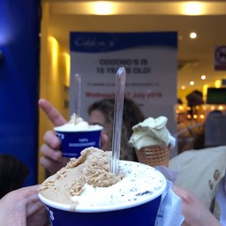 chocolate chip + coffee and pistachio cone