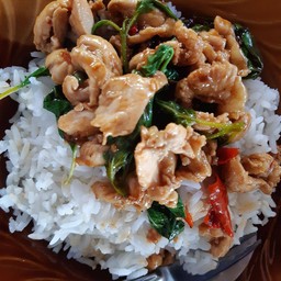 กะเพราไก่