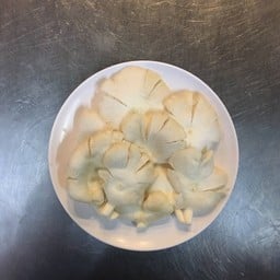 เห็ดนางฟ้า