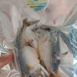 ปลาทูนึ่ง