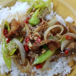 ผัดพริกหยวก (กับข้าว)