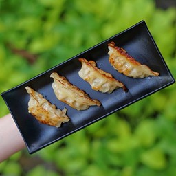 Gyoza