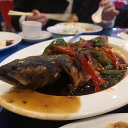 New Asian Restaurant