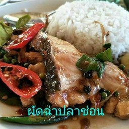 ผัดฉ่าปลาช่อน