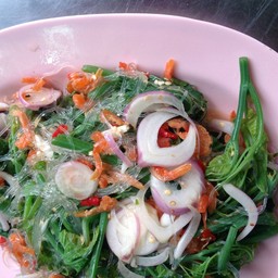 ยำวุ้นเส้น + ยอดมะระ