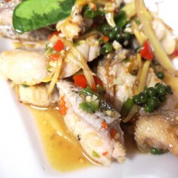 ผัดฉ่าปลาเก๋า