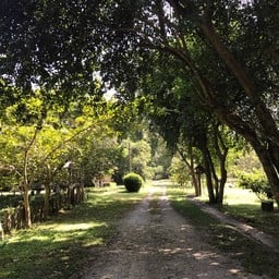 สวนรุกขชาติหนองตาอยู่