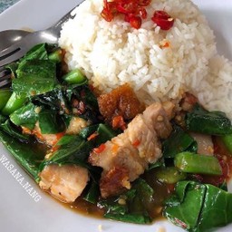 ข้าวราดผัดคะน้าหมูกรอบ
